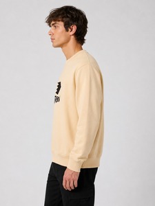 Sweat-shirt haute performance pour homme, conçu pour l'entraînement, le fitness, les voyages et les tenues décontractées, offrant un confort durable. - Product Image 3