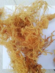 Algues Nori aromatisées séchées au soleil de qualité supérieure, Blue Lotus Khanh Hoa Vietnam, sac de 5-10 kg, vente en gros, export - Product Image 1