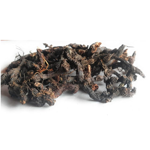 Polvo de Nagarmotha (Cyperus Scariosus) de Alta Calidad, Color Marrón Claro, Secado al Sol Natural, Medicina Herbal, Uso Ayurvédico, de Rajasthan - Product Image 4