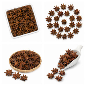 Best Selling Factory Price International Standard Vietnam Manufacturer Supply Star Anise Bulk Supply - Product Image 3