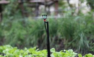 Arroseurs de jardin rotatifs à 360 degrés en plastique, micro-arroseurs pour l'irrigation agricole - Product Image 3