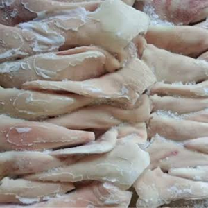 Orejas de Cerdo Congeladas de Alta Calidad con Carapa, Orejas de Cerdo Enteras al por Mayor, Proveedor y Exportador de Cerdo Congelado a Granel - Product Image 5