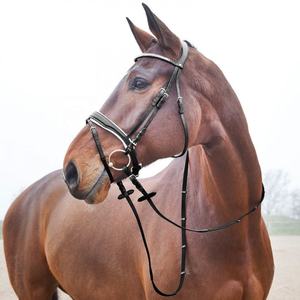 Arreos de cuero genuino para caballos Annabelle, brida de doma ecuestre de cuero a medida, estilo inglés y occidental, fabricante mayorista. - Product Image 1