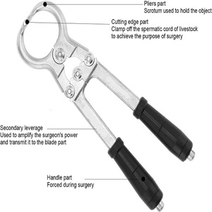 Castrateur Burdizzo le plus vendu, instruments chirurgicaux médicaux légers de qualité supérieure, castrateur Burdizzo personnalisable - Product Image 3