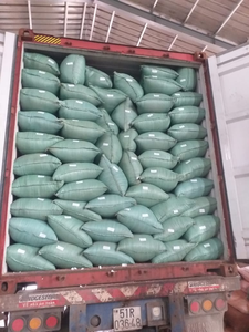 Harina de Copra Blanca con 18% de Proteína, Residuo de Coco Desgrasado, Farelo de Coco, Alimento para Aves, Cerdos y Animales, Bolsa de PP de 25 kg, Vietnam - Product Image 4