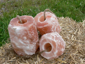 Bloc de sel de l'Himalaya biologique, forme ronde, qualité supérieure, certifié HACCP, pour l'élevage de bétail, chevaux et chiens, avec corde de suspension - Product Image 6