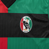 Camiseta de Fútbol Personalizada de Palestina, Cuello en V, 100% Poliéster, Gestión de la Humedad, Uniforme Profesional para el Equipo Palestino