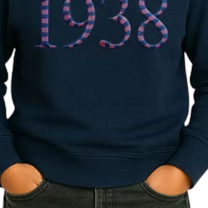 เสื้อสเวตเชิ้ตปักลายพัฟ 3 มิติ สีฟ้าสำหรับเด็กผู้หญิง เสื้อแขนยาวลำลอง สวมใส่สบายทุกวัน เสื้อผ้าสไตล์ไลฟ์สไตล์ - Product Image 5