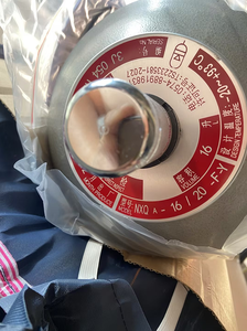 Acumulador Hidráulico NXQ-2.5/20-L-Y NXQ-2.5/31.5-L-Y NXQ-4/20-L-Y Acumulador NXQA-63/31-5-5L-Y NXQ-A-16/20-F Y NXQ-A-1/20-L-Y - Product Image 6