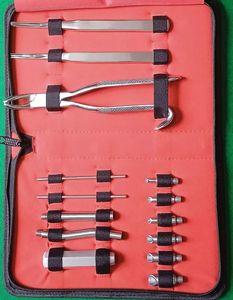 Kit Profesional de Cirugía Oral Dental de 9 Piezas de Acero Inoxidable, Pinzas y Elevadores, Fuente de Alimentación Manual para Clínicas Surtech - Product Image 4