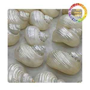 Coquille de MOP naturelle polie avec un éclat nacré blanc crème et turquoise pour la décoration intérieure - Product Image 2
