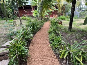 Factory Price Coco Coir <b>Mat</b> <b>Roll</b> Coir Rope Coconut Fiber <b>Mat</b> Vietnam Microgreen Thickness 5-10mm 1x10m <b>Roll</b> Packing - Product Image 4