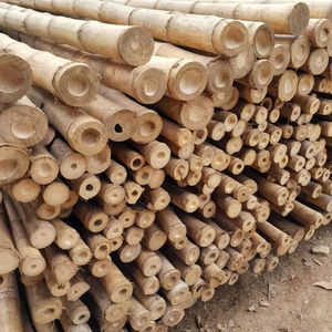 Varas de Bambú Naturales Rectas Directamente de Fábrica en Vietnam, Exportación a Granel - Product Image 1