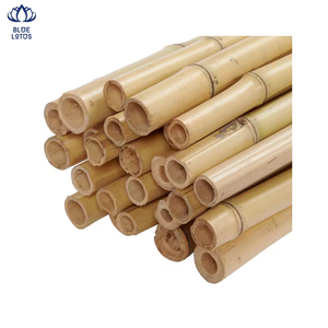Pôles en bambou durables et écologiques de haute qualité, très demandés, pour le soutien des plantes agricoles, prix usine. - Product Image 1