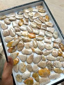 Natural Agate Cabochon Loose Gemstones Mixed Shapes Beige Brown Yellow White Polished For Jewelry Making - Product Image 4