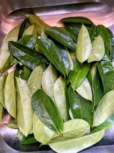 Bolsitas de Té Negro con Hojas de Guanábana Secas - Orgánico Sin Azúcar Beneficios para la Salud 50g Peso Neto Empaque en Bolsa con Cierre Hermético - Product Image 3