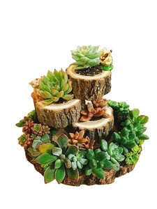 Pot de fleurs en bois souhaitant bien planteur arrière-cour jardin décor créatif jardinières en bois écorce pots de fleurs jardin - Product Image 6