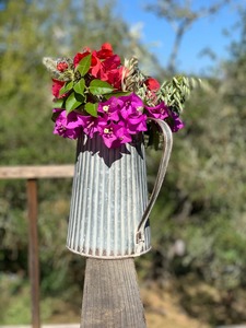 Maceta Galvanizada Estilo Jarra, Maceta de Metal Rústica para Decoración de Hogar, Jardín, Balcón y Patio, Pieza Decorativa Multiusos - Product Image 1