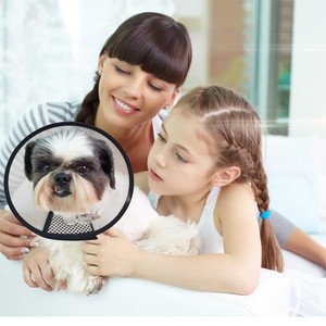 High Quality PU Plastic Cat E-<b>collar</b> Cute Solid Pattern Elizabethan <b>Collar</b> Soft New Protective Cone Recovery for Dogs and Cats - Product Image 2