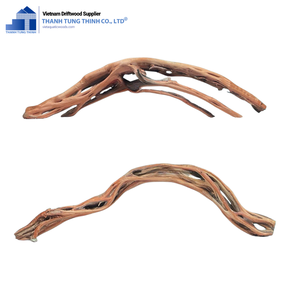 Décoration d'aquarium en bois flotté naturel Thanh Tung Thinh, forme irrégulière, écologique, bois pour aquarium en provenance du Vietnam - Product Image 6