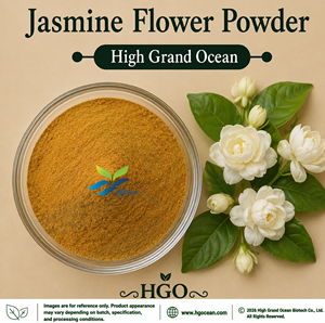 Poudre de fleur de jasmin pure naturelle (qualité alimentaire) séchée par pulvérisation ou lyophilisée, fournie directement par l'usine HGO - Product Image 1