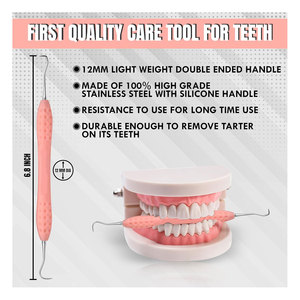 Professional Dental Tartar Scraper Double Ended Stainless Steel Dental Scaler for Plaque & Tartar Removal | Premium Oral Care - Product Image 3