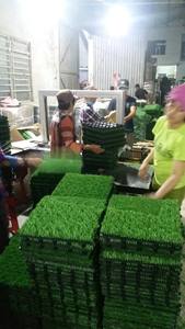 Baldosas de Césped Artificial 300x300x24mm, Impermeables, Cuadradas, para Exteriores/Interiores, Decoración de Terraza, Jardín y Patio - Product Image 5