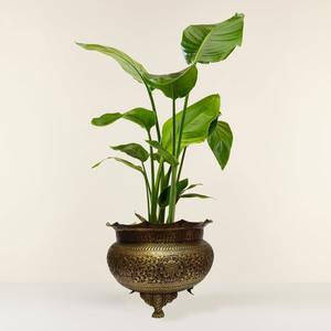 Macetero de latón con acabado dorado grabado tradicional, ideal para decoración de interiores del hogar y elegante estilo de plantas en la mesa de entrada. - Product Image 4