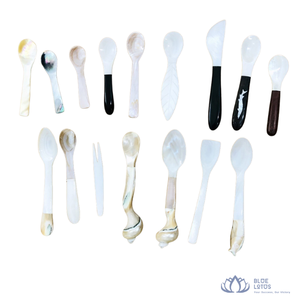 [MEILLEURES VENTES] Cuillère à caviar moderne écologique en nacre, faite à la main, à long manche, pour repas de prestige et thé, reconditionnée - Product Image 1