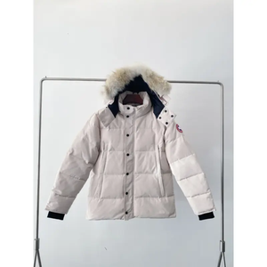 Blouson matelassé à capuche pour homme, couleur personnalisée, motif uni, coupe-vent, fermeture éclair, décontracté, hiver, séchage rapide, toile - Product Image 3