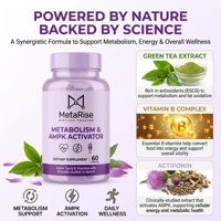 Suplemento Herbal para el Control de Peso ACV, 60 Unidades, 2 Gomitas Dosis Diaria, Venta al por Mayor de Fábrica con Servicio de Etiqueta Privada OEM y ODM