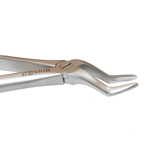 Pinzas para Extracción de Raíces Dentales # Pinzas de Extracción Dental de Acero Inoxidable de 51 mm para Procedimientos Quirúrgicos de Raíz Superior - Product Image 5