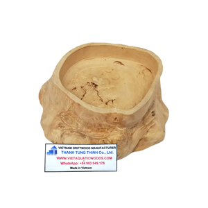 Bol en bois flotté naturel pour reptiles, ornement écologique pour animaux de compagnie, fabriqué au Vietnam - Product Image 6