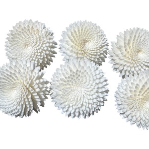 VADEE SOLA WOOD <b>FLOWER</b> White Snow Ranunculus Reed <b>Diffuser</b> <b>Flower</b> Bundle Replacement Handmade Sustainable Dried - Product Image 1