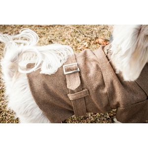 Cappotto per animali in lana alla moda con Design con fibbia posteriore - Product Image 5