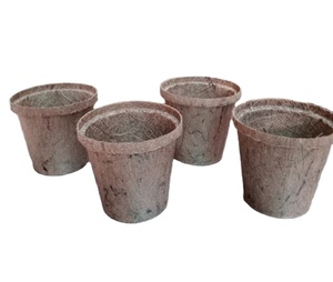 Maceta Premium de Fibra de Coco para Germinación de Semillas y Plantas Jóvenes - Product Image 1