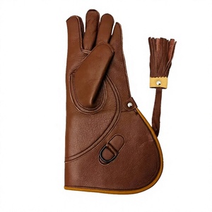 Gants de Falconerie en Cuir Premium pour la Manipulation des Faucons et des Aigles – Couleur Unie – Équipement de Chasse Extérieur Durable - Product Image 1