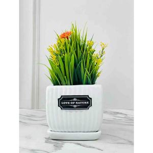 Macetas y Jardineras Blancas PAP25 - Product Image 1