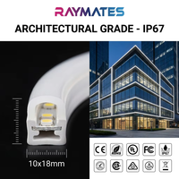 RAYMATSE Prix d'usine pour bande lumineuse LED IP67 étanche, bande lumineuse LED néon 1018, bande lumineuse en silicone à émission horizontale