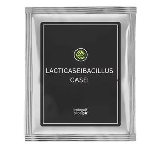 Poudre probiotique Lactobacillus casei de la marque IGC - Product Image 1