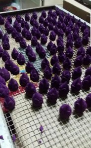 QUEMADOR DE INCIENSO Madera religiosa para agentes mayoristas Hecho en Vietnam 100% Natural - Product Image 5