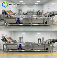Voedselverwerkingsmachine met belletjeswasmachine en luchtbellenreinigingsmachine voor gebruik in de fruit- en groentelijn