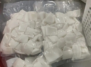 เนื้อมะพร้าวแช่แข็งระดับพรีเมียมส่งออกจากเวียดนาม | เนื้อมะพร้าวแช่แข็งจำนวนมาก - Product Image 3