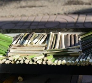 Palillo Dental Herbal Miswak FreshEdge, Orgánico y Natural, Ecológico, Higiene Dental, Protección de Encías, Blanqueamiento Dental, Aliento Fresco - Product Image 2