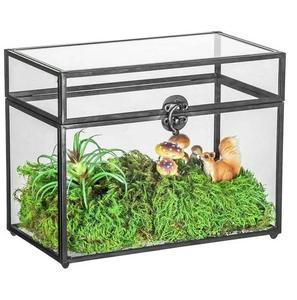 Terrario de Cristal con Forma Irregular, Recipiente para Plantas de Interior, Mini Jardín, Decoración Artística, Florero Creativo para Mesa - Product Image 3