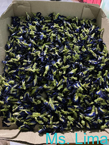 Flor de Guisante Mariposa Seca (Proceso AD Crudo) - Marca VIETDELTA 10 kg/caja Morado Mejor Calidad para Exportación Vietnam / Sra. Lucinda - Product Image 5