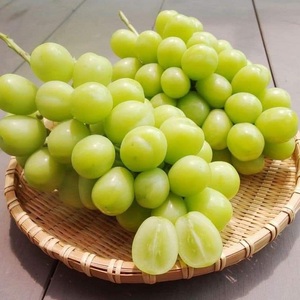 องุ่นเขียวคัดสรรพร้อมจำหน่าย คุณภาพสดใหม่ รสหวานฉ่ำ เหมาะสำหรับซูเปอร์มาร์เก็ต - Product Image 1