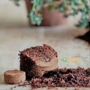Discos de Fibra de Coco para Germinación de Semillas y Cultivo de Microgreens |   Tamaños Personalizados |   Suministro al por Mayor de Eco2go Vietnam - Product Image 2