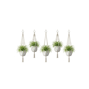 Maceta Colgante Redonda de Metal Minimalista Moderna, Color Azul Cielo, Resistente a la Oxidación, con Cadena para Colgar, para Interiores y Sala de Estar - Product Image 6