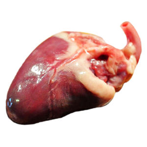 Corazones de Pollo Congelados de Buena Calidad a Precio Económico, Más Vendidos, de la Más Alta Calidad, 100% Puro - Product Image 1